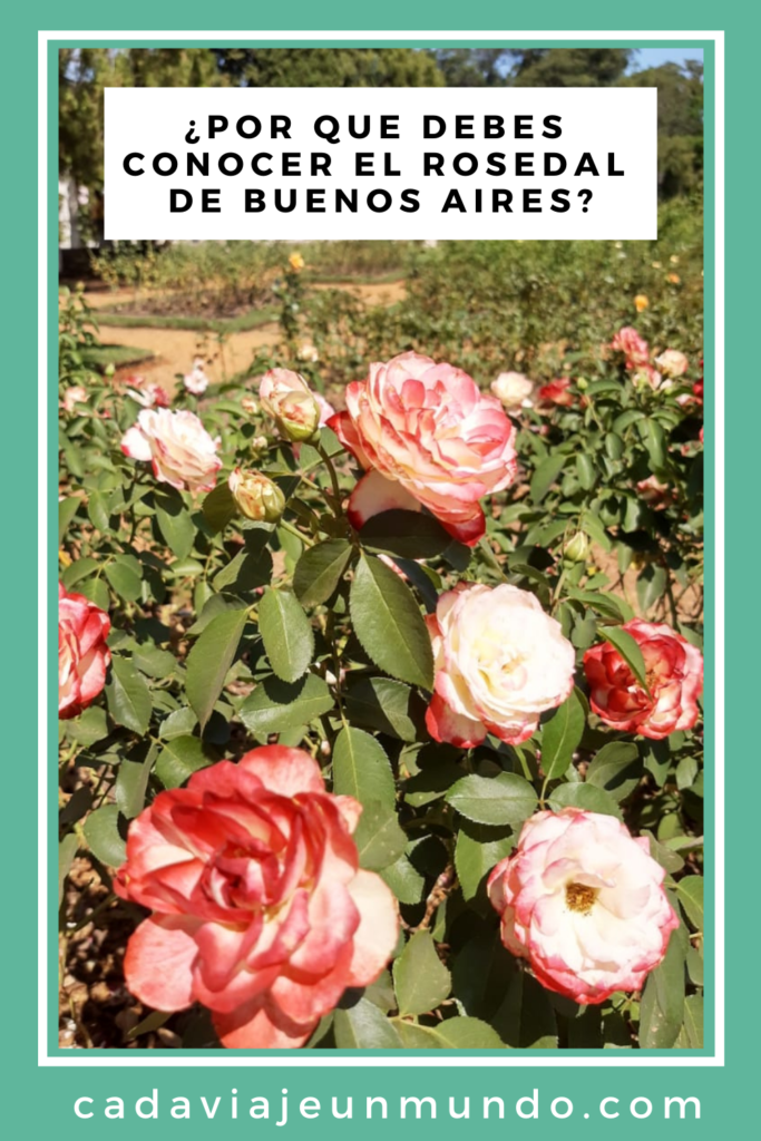 PIN: EL ROSEDAL DE BUENOS AIRES