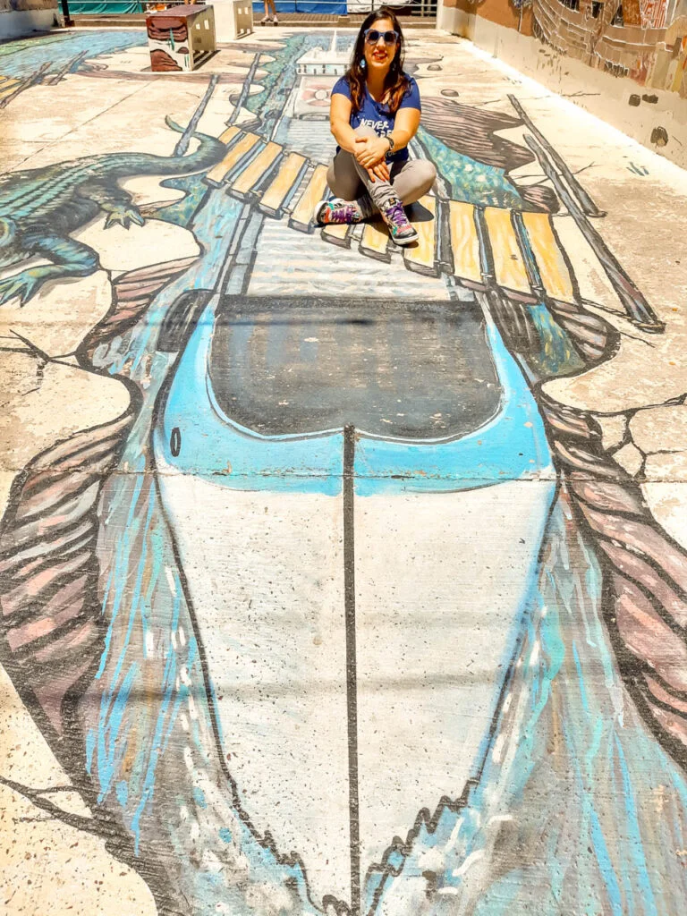 STREET ARTE EN TIGRE