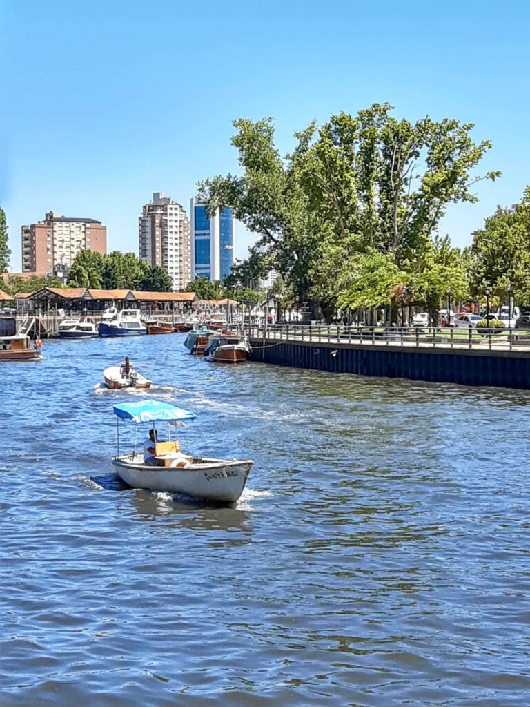 EL DELTA DEL TIGRE