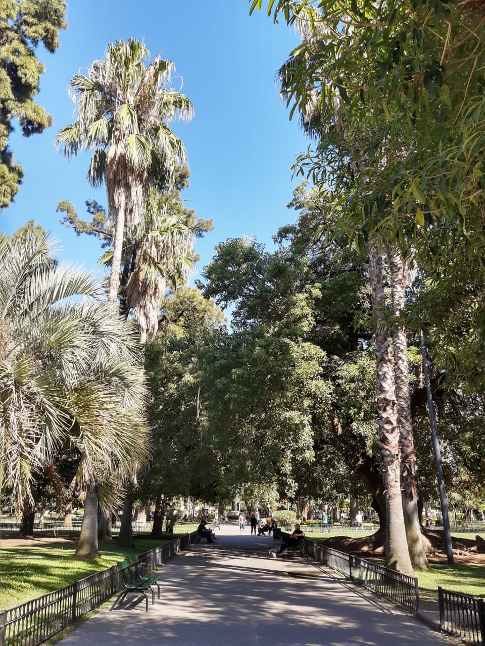 Paseos al aire libre en Buenos Aires y circuitos verdes en la ciudad